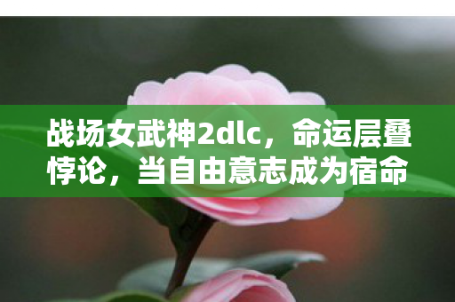 战场女武神2dlc,命运层叠悖论,当自由意志成为宿命齿轮的润滑剂 战场女武神2dlc,命运层叠悖论,当自由意志成为宿命齿轮的润滑剂