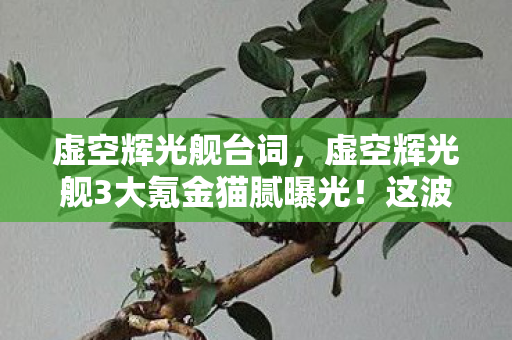 虚空辉光舰台词，虚空辉光舰3大氪金猫腻曝光！这波操作让百万玩家集体上头又破防