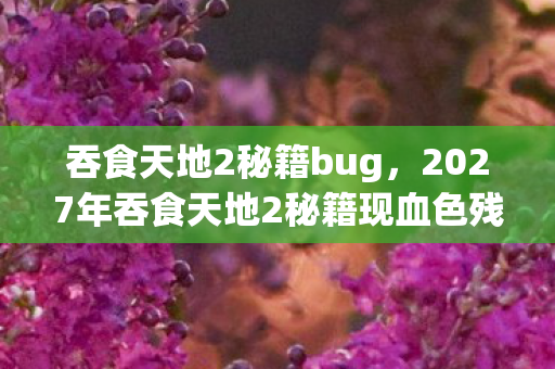 吞食天地2秘籍bug，2027年吞食天地2秘籍现血色残页，三国名将离奇失踪案背后的惊悚真相