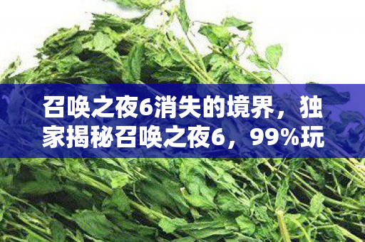 召唤之夜6消失的境界，独家揭秘召唤之夜6，99%玩家未解锁的3大震撼体验与深度心得！