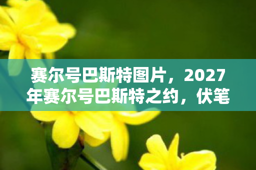 赛尔号巴斯特图片，2027年赛尔号巴斯特之约，伏笔揭开时，鼻子一酸谁在等？