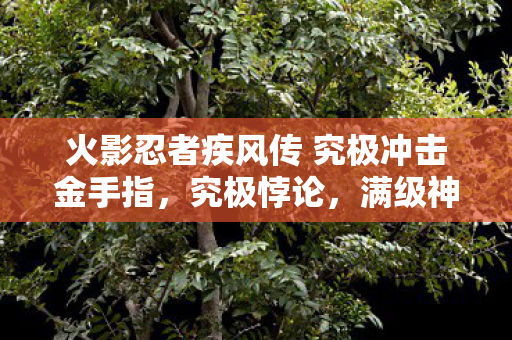 火影忍者疾风传 究极冲击金手指,究极悖论,满级神躯困在2027的深渊,我的灵魂在像素里溺亡 火影忍者疾风传 究极冲击金手指,究极悖论,满级神躯困在2027的深渊,我的灵魂在像素里溺亡
