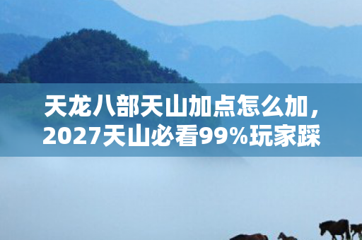 天龙八部天山加点怎么加，2027天山必看99%玩家踩坑的3大加点雷区！亲测输出暴跌30%的真相