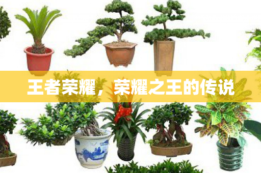 荣耀之王的传说图片