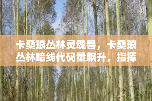 卡桑琅丛林灵魂兽，卡桑琅丛林暗线代码量飙升，指挥官头皮发麻的终极博弈