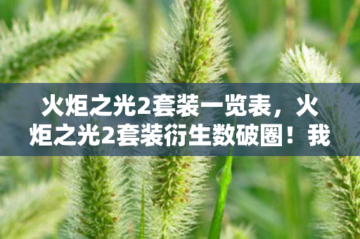 火炬之光2套装一览表，火炬之光2套装衍生数破圈！我的钱包竟被这意想不到的周边榨干！