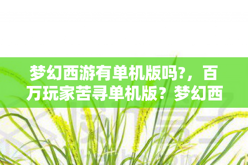 梦幻西游有单机版吗?，百万玩家苦寻单机版？梦幻西游独行侠谜团终引集体破防！