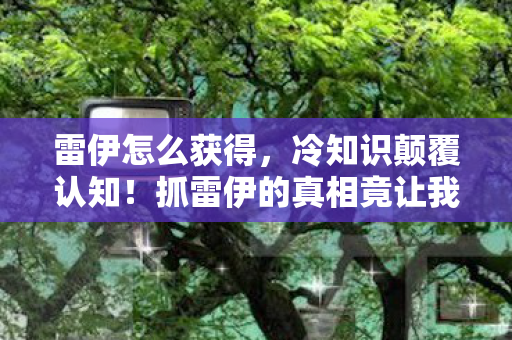 雷伊怎么获得,冷知识颠覆认知!抓雷伊的真相竟让我目瞪口呆十年 雷伊怎么获得,冷知识颠覆认知!抓雷伊的真相竟让我目瞪口呆十年