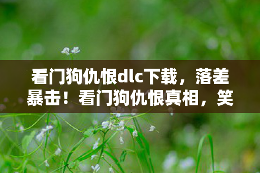 看门狗仇恨dlc下载，落差暴击！看门狗仇恨真相，笑着骂它狗，哭着当舔狗