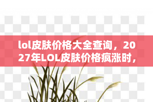 lol皮肤价格大全查询，2027年LOL皮肤价格疯涨时，我删号前鼻子一酸想起那句别走