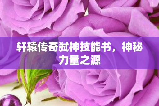 轩辕传奇弑神技能书图片