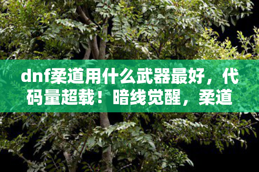dnf柔道用什么武器最好，代码量超载！暗线觉醒，柔道武器竟让神经接口头皮发麻