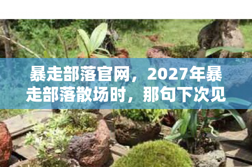 暴走部落官网，2027年暴走部落散场时，那句下次见成了永远，鼻子一酸