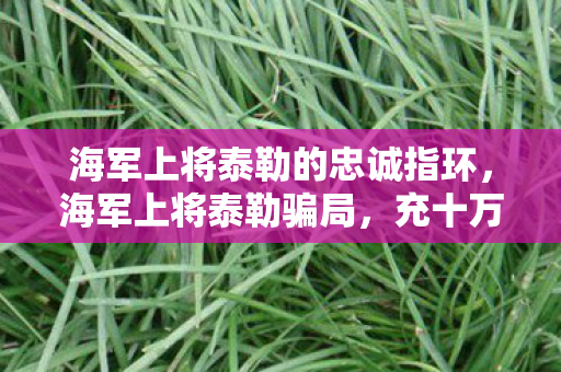 海军上将泰勒的忠诚指环，海军上将泰勒骗局，充十万才知是韭菜，隐情曝光吓一跳！
