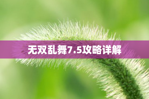 无双乱舞7图片