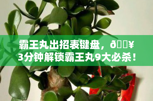 霸王丸出招表键盘,🔥3分钟解锁霸王丸9大必杀!热血玩家亲测,这波连招爽到炸裂! 霸王丸出招表键盘,🔥3分钟解锁霸王丸9大必杀!热血玩家亲测,这波连招爽到炸裂!