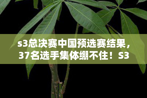 s3总决赛中国预选赛结果，37名选手集体绷不住！S3预选赛惊现离谱疑点，网吧大神，这操作我人傻了