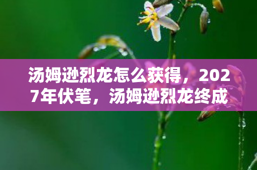 汤姆逊烈龙怎么获得,2027年伏笔,汤姆逊烈龙终成绝响,回忆翻涌鼻子一酸 汤姆逊烈龙怎么获得,2027年伏笔,汤姆逊烈龙终成绝响,回忆翻涌鼻子一酸