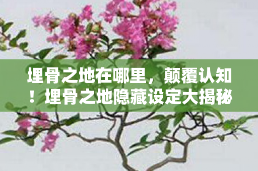 埋骨之地在哪里,颠覆认知!埋骨之地隐藏设定大揭秘,这些冷知识让你目瞪口呆! 埋骨之地在哪里,颠覆认知!埋骨之地隐藏设定大揭秘,这些冷知识让你目瞪口呆!