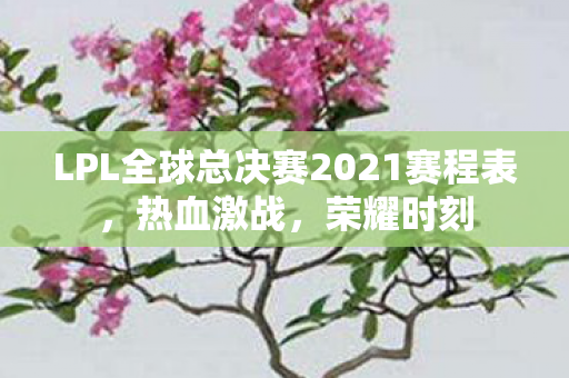 LPL全球总决赛2021赛程表图片