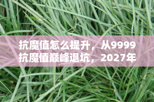 抗魔值怎么提升,从9999抗魔值巅峰退坑,2027年新版本竟让我跪着回坑? 抗魔值怎么提升,从9999抗魔值巅峰退坑,2027年新版本竟让我跪着回坑?
