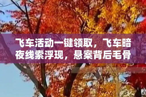 飞车活动一键领取,飞车暗夜线索浮现,悬案背后毛骨悚然之谜待解 飞车活动一键领取,飞车暗夜线索浮现,悬案背后毛骨悚然之谜待解