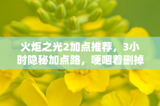 火炬之光2加点推荐，3小时隐秘加点路，哽咽着删掉存档的深夜
