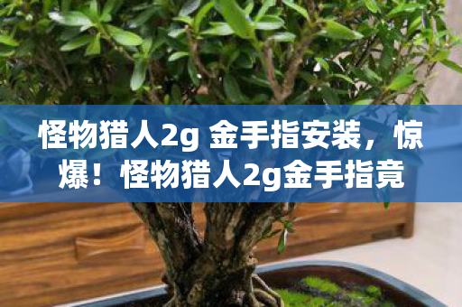 怪物猎人2g 金手指安装,惊爆!怪物猎人2g金手指竟藏百万隐情,真相让人吓一跳! 怪物猎人2g 金手指安装,惊爆!怪物猎人2g金手指竟藏百万隐情,真相让人吓一跳!