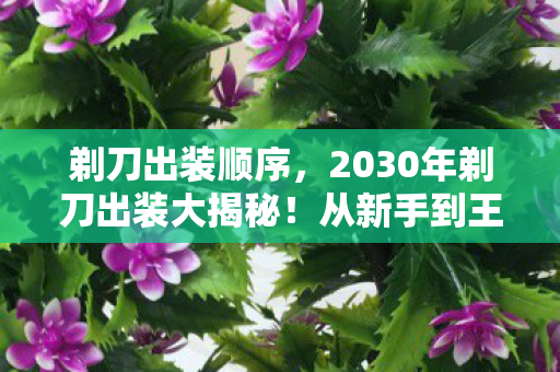 剃刀出装顺序,2030年剃刀出装大揭秘!从新手到王者,这装备震撼了整个赛季! 剃刀出装顺序,2030年剃刀出装大揭秘!从新手到王者,这装备震撼了整个赛季!