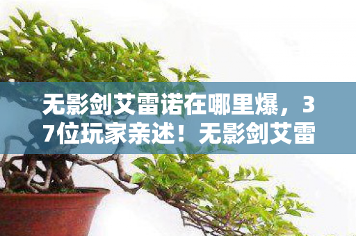 无影剑艾雷诺在哪里爆,37位玩家亲述!无影剑艾雷诺现世疑云,这操作谁绷得住啊? 无影剑艾雷诺在哪里爆,37位玩家亲述!无影剑艾雷诺现世疑云,这操作谁绷得住啊?