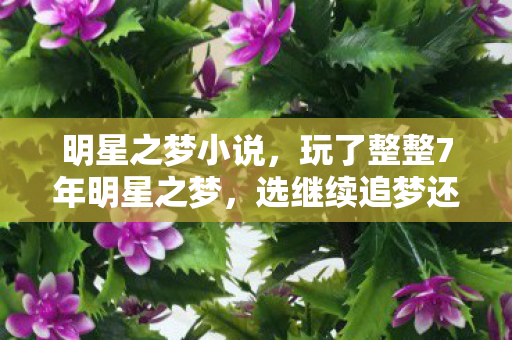 明星之梦小说,玩了整整7年明星之梦,选继续追梦还是回归现实?我纠结到失眠! 明星之梦小说,玩了整整7年明星之梦,选继续追梦还是回归现实?我纠结到失眠!