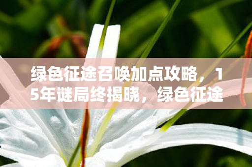 绿色征途召唤加点攻略,15年谜局终揭晓,绿色征途召唤加点背后的泪目真相 绿色征途召唤加点攻略,15年谜局终揭晓,绿色征途召唤加点背后的泪目真相