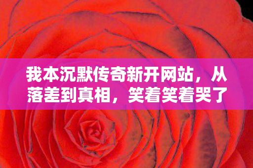 我本沉默传奇新开网站,从落差到真相,笑着笑着哭了,我竟又偷偷登录了我本沉默 我本沉默传奇新开网站,从落差到真相,笑着笑着哭了,我竟又偷偷登录了我本沉默