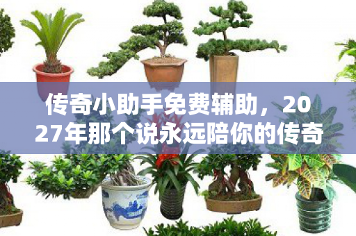 传奇小助手免费辅助,2027年那个说永远陪你的传奇小可爱,如今伏笔成殇,鼻子一酸 传奇小助手免费辅助,2027年那个说永远陪你的传奇小可爱,如今伏笔成殇,鼻子一酸