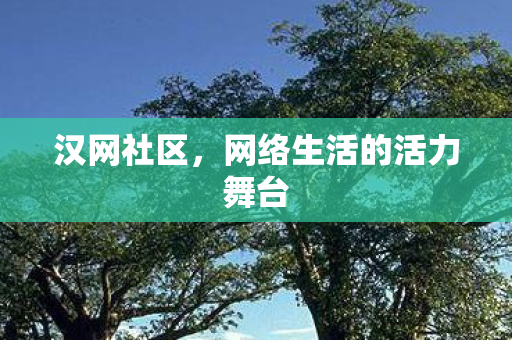 网络生活的活力舞台图片