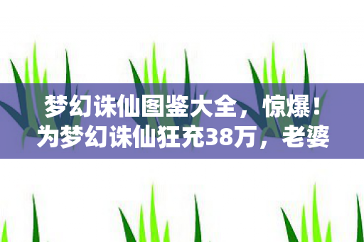 梦幻诛仙图鉴大全,惊爆!为梦幻诛仙狂充38万,老婆怒签离婚协议,家要散! 梦幻诛仙图鉴大全,惊爆!为梦幻诛仙狂充38万,老婆怒签离婚协议,家要散!