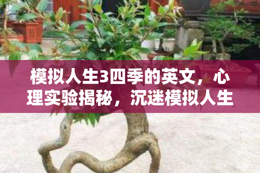 模拟人生3四季的英文,心理实验揭秘,沉迷模拟人生3四季竟是多巴胺的细思极恐陷阱 模拟人生3四季的英文,心理实验揭秘,沉迷模拟人生3四季竟是多巴胺的细思极恐陷阱