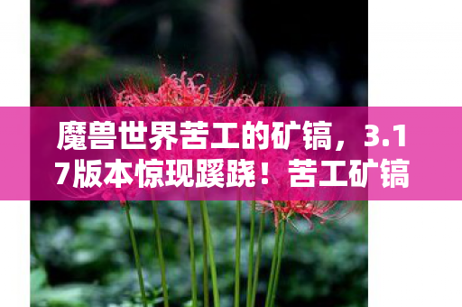 魔兽世界苦工的矿镐,3.17版本惊现蹊跷!苦工矿镐竟藏着十年未解之谜? 魔兽世界苦工的矿镐,3.17版本惊现蹊跷!苦工矿镐竟藏着十年未解之谜?