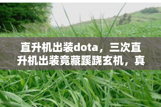 直升机出装dota,三次直升机出装竟藏蹊跷玄机,真相揭晓后背发凉! 直升机出装dota,三次直升机出装竟藏蹊跷玄机,真相揭晓后背发凉!