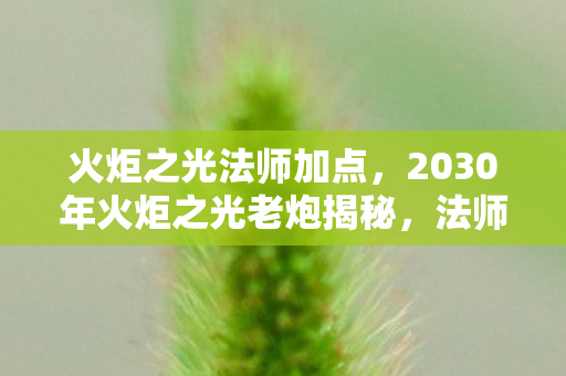 火炬之光法师加点，2030年火炬之光老炮揭秘，法师加点竟藏着颠覆认知的宇宙法则！