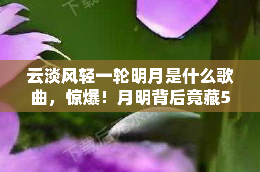 云淡风轻一轮明月是什么歌曲，惊爆！月明背后竟藏500万隐情，会议室争吵吓你一跳！