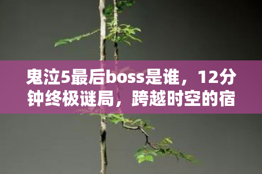 鬼泣5最后boss是谁，12分钟终极谜局，跨越时空的宿命对决，泪目终章