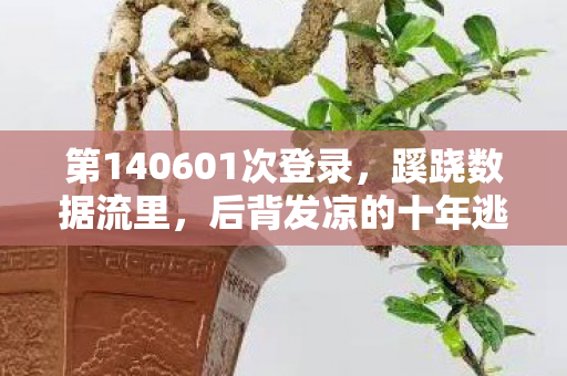 第140601次登录，蹊跷数据流里，后背发凉的十年逃亡