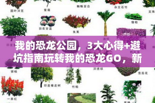 我的恐龙公园，3大心得+避坑指南玩转我的恐龙GO，新手秒变驯龙高手！