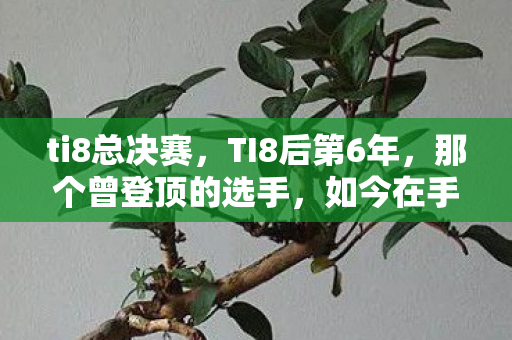 ti8总决赛，TI8后第6年，那个曾登顶的选手，如今在手游里默默挣扎？