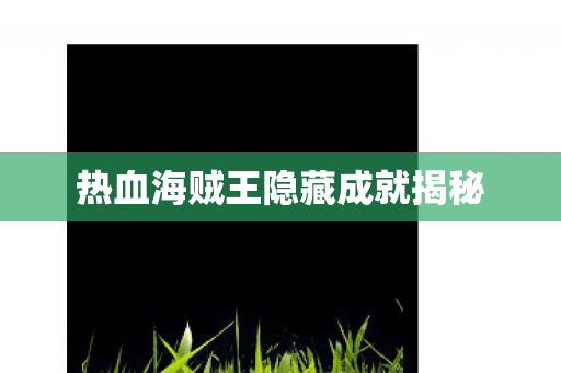 热血海贼王隐藏成就揭秘图片