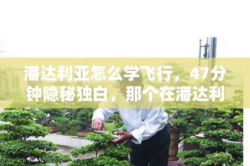 潘达利亚怎么学飞行，47分钟隐秘独白，那个在潘达利亚哽咽的通宵，我至今没敢听完