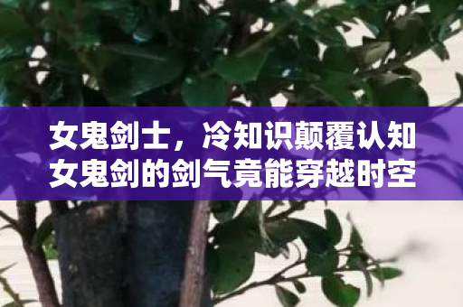 女鬼剑士，冷知识颠覆认知女鬼剑的剑气竟能穿越时空？真相让你目瞪口呆！