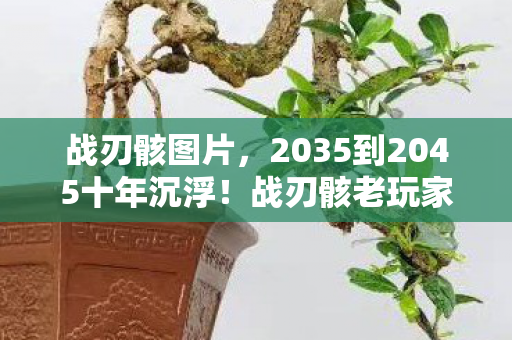 战刃骸图片,2035到2045十年沉浮!战刃骸老玩家亲述,这刀锋藏着什么惊天秘密? 战刃骸图片,2035到2045十年沉浮!战刃骸老玩家亲述,这刀锋藏着什么惊天秘密?