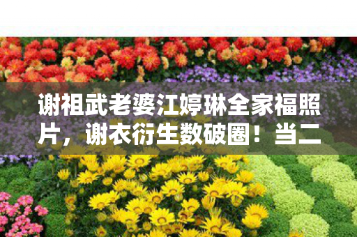 谢祖武老婆江婷琳全家福照片,谢衣衍生数破圈!当二次元手办撞上三次元冰箱的意想不到狂想 谢祖武老婆江婷琳全家福照片,谢衣衍生数破圈!当二次元手办撞上三次元冰箱的意想不到狂想